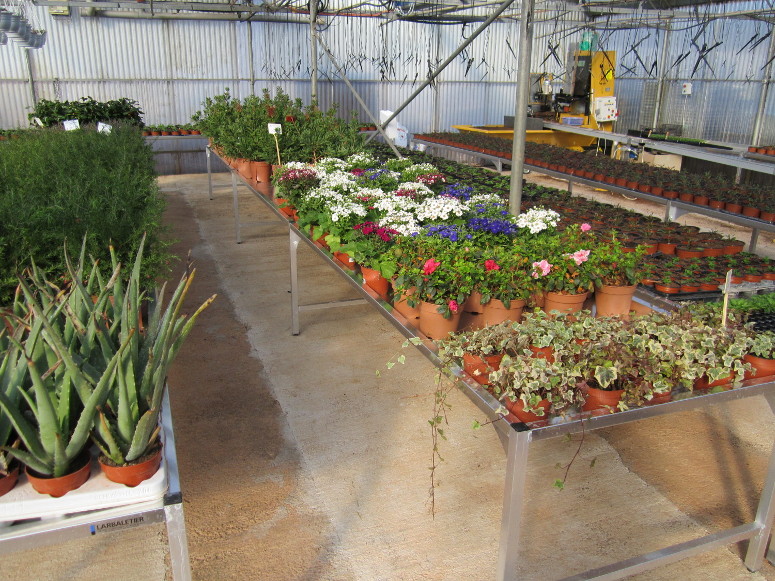 horticulture - pépiflex zone de production