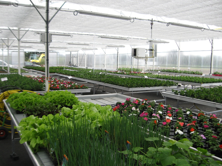 horticulture - tables de production fixes